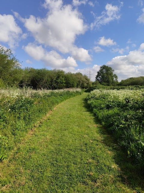 Walthamstow Marshes